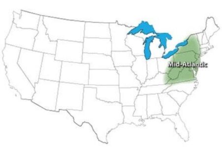 Top Crops: Mid-Atlantic Region Image